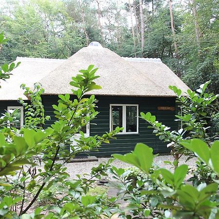 Vakantiehuis 'T Musje إبّ الغرفة الصورة
